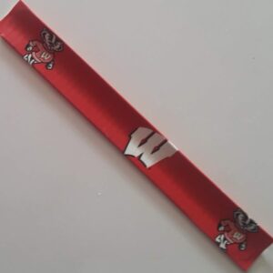 University of Wisconsin Madison Badgers NCAA Slap Bracelet