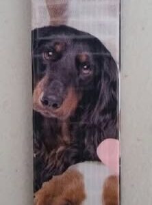 Puppy Dog Love Key Chain Ring Lanyard Loop