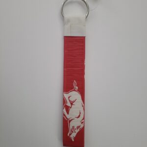 University of Arkansas Razorbacks NCAA Key Chain Ring Lanyard Loop
