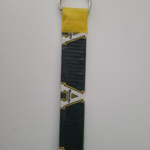 Appalachian State University Mountaineers NCAA Key Chain Ring Lanyard Loop